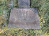 image of grave number 725445
